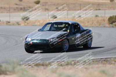 media/May-24-2025-Extreme Speed (Sat) [[067a6f0386]]/Orange Group/Turn 2 and 4/